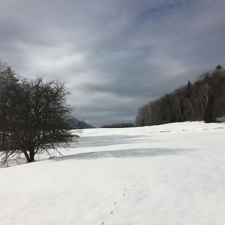 Pokoje Goscinne Vida Krynica Zdroj Exterior foto