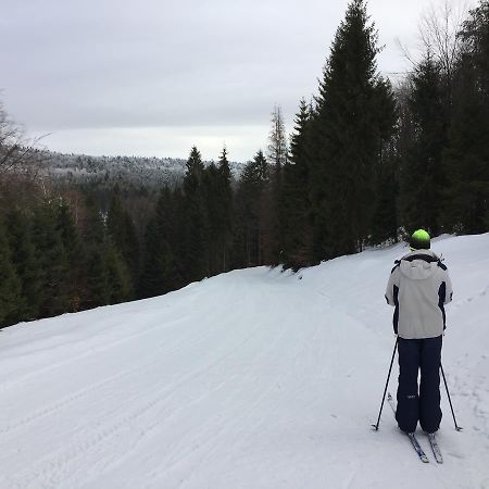 Pokoje Goscinne Vida Krynica Zdroj Exterior foto
