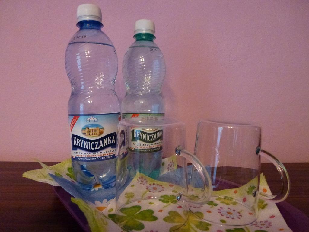 Pokoje Goscinne Vida Krynica Zdroj Quarto foto