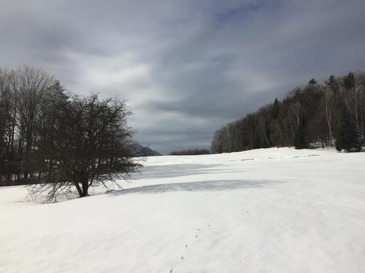 Pokoje Goscinne Vida Krynica Zdroj Exterior foto