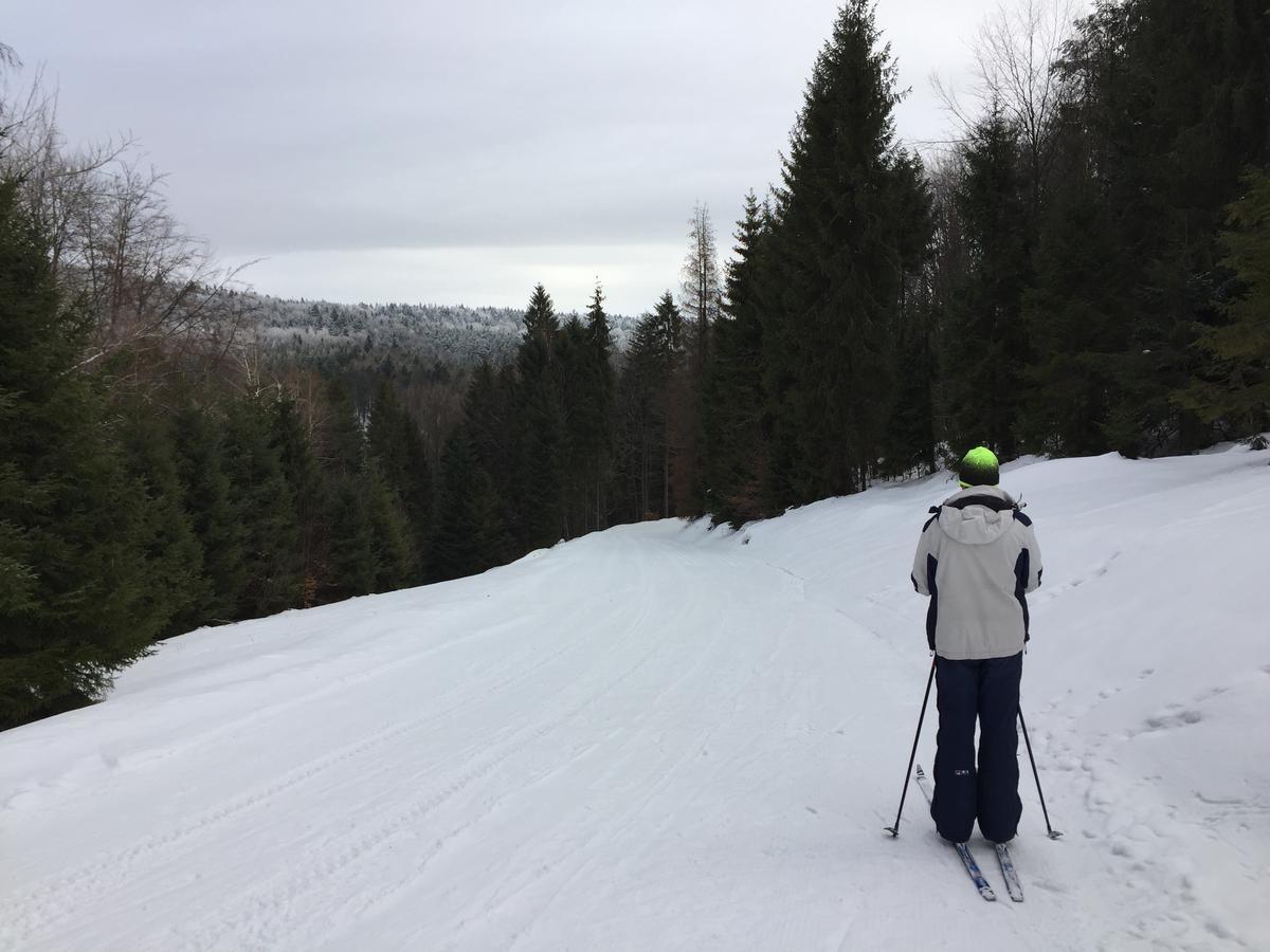 Pokoje Goscinne Vida Krynica Zdroj Exterior foto